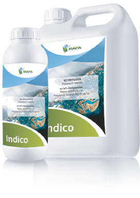 indico-png