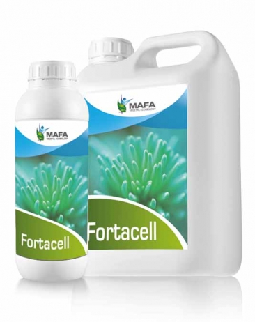 fortacell.1